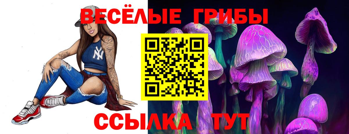Сегежа  Галлюциногенные грибы Psilocybe  Вход с VPN 